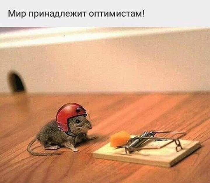 Мир принадлежит оптимистам Е