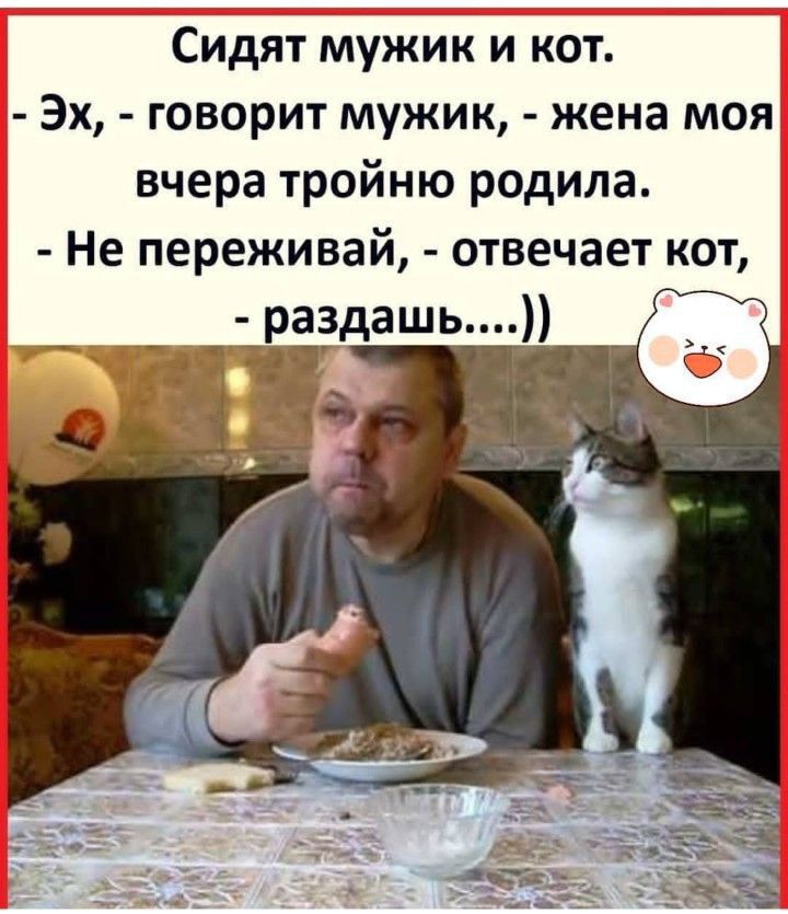 Сидят мужик и кот Эх говорит мужик жена моя вчера тройню родила Не переживай отвечает кот раздашь
