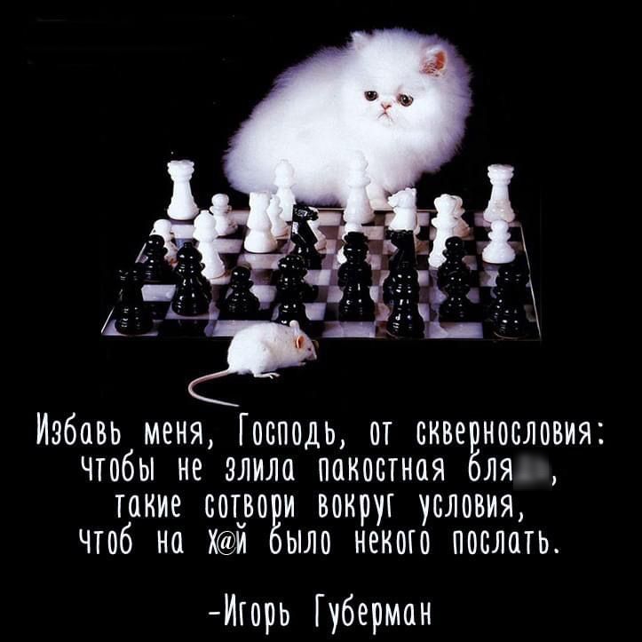 _ дт э ижаи мшяГды ш шршюиж ЧТОбЬі не влила пакостная бля такие содроги вокруг условия чтоб на Жи ыло некто послать И0рь Губерман