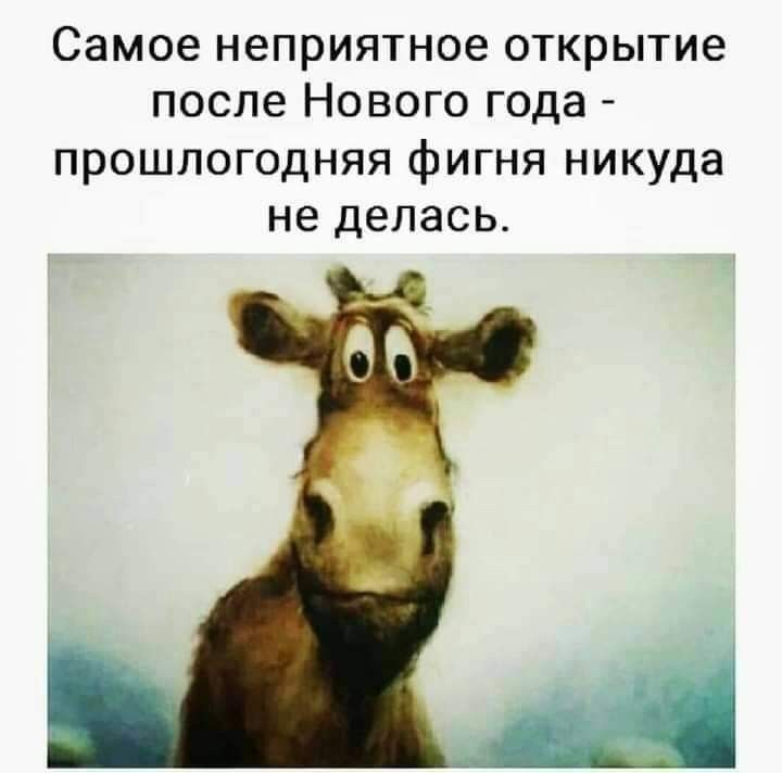 Самое неприятное открытие после Нового года прошлогодняя фигня никуда не делась