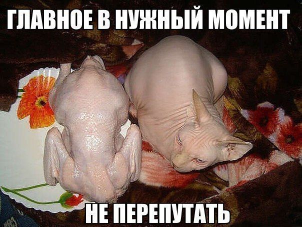 ГЛАВНОЕ В ШИННЫЙ М0МЕТ