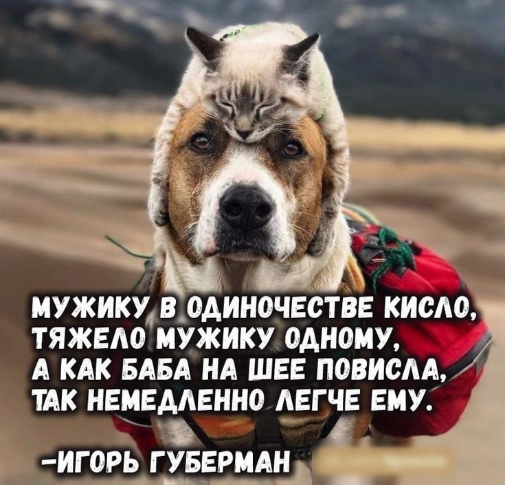 мужику4 вддиночеётве кисло ТЯЖЕАО мужику одному А так БАБА НА шее повисм ТАК немедленно АЕГЧЕ ему с игорь гувермднд _ д __