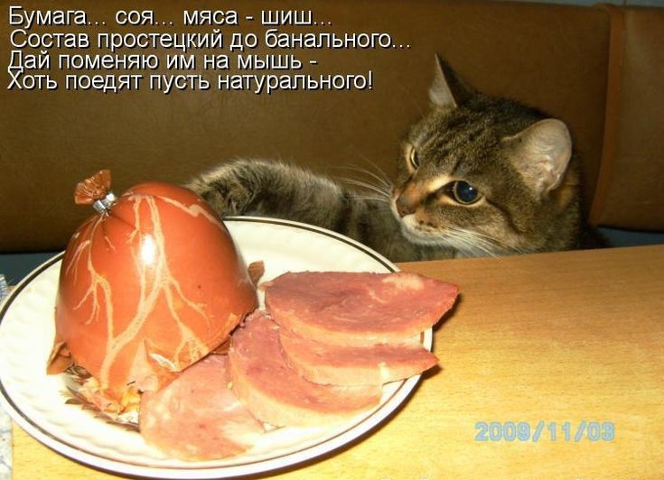Бумага соя мяса шиш Сортав простецкий до банального аи поменяю им на мышь оть поедят пусть натурального