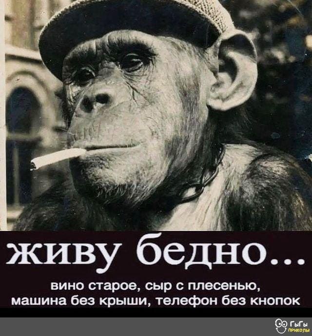живу бедно вино старое сыр плесенью машина без крыши телефон без кнопок пгт яма ы
