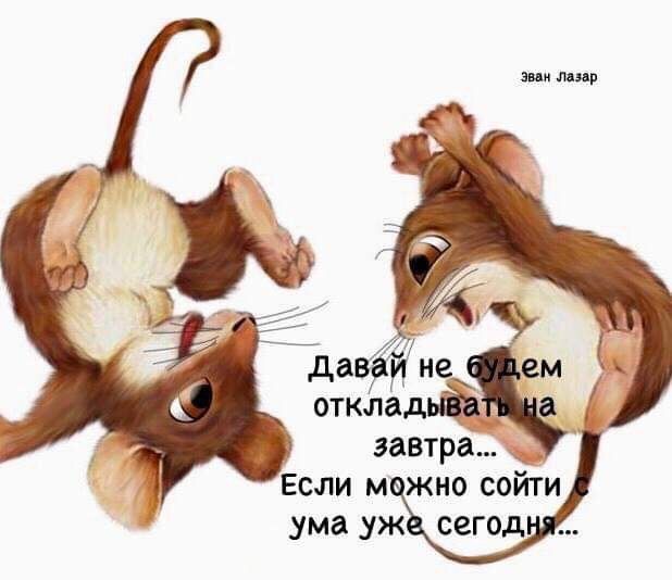 иии тир