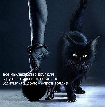 все мы пе во друг для друга хот пи этого или нет одному руюгйу прртиввяаіе