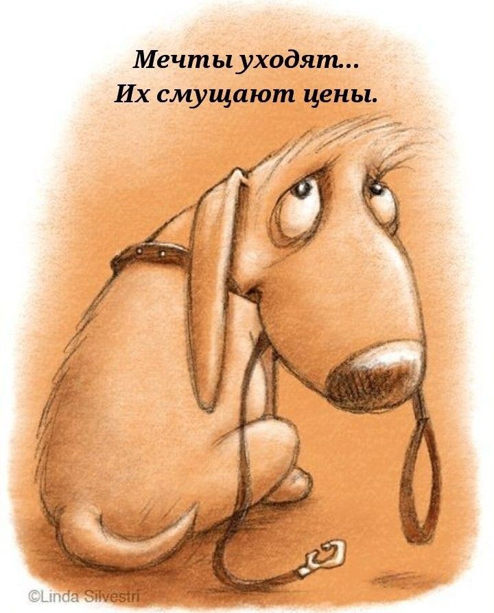 Мечты уходят Их смущают цены