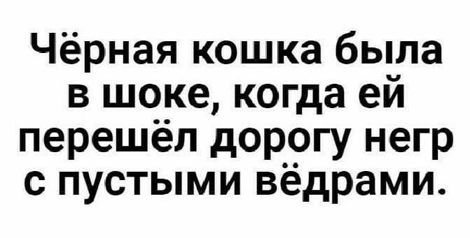 Чёрная кошка была в шоке когда ей перешёл дорогу негр с пустыми вёдрами
