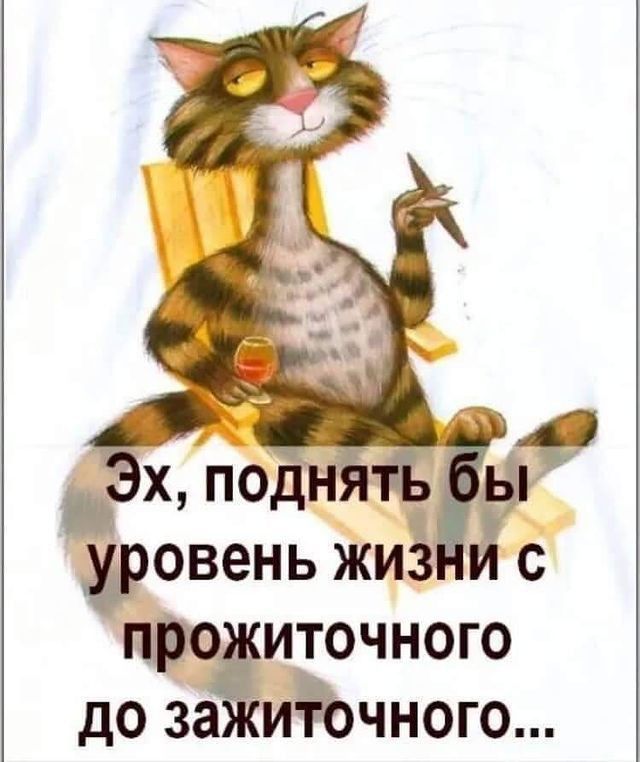 Ёподн гр Чровень жизй про иточного до за ийчного