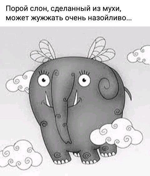 Порой слон сделанный из мухи может жужжать очень назойливо