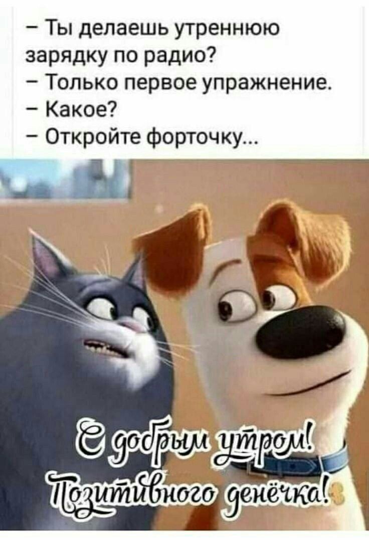 Ты делаешь утреннюю зарядку по радио Только первое упражнение Какое Откройте форточку к Щ _____
