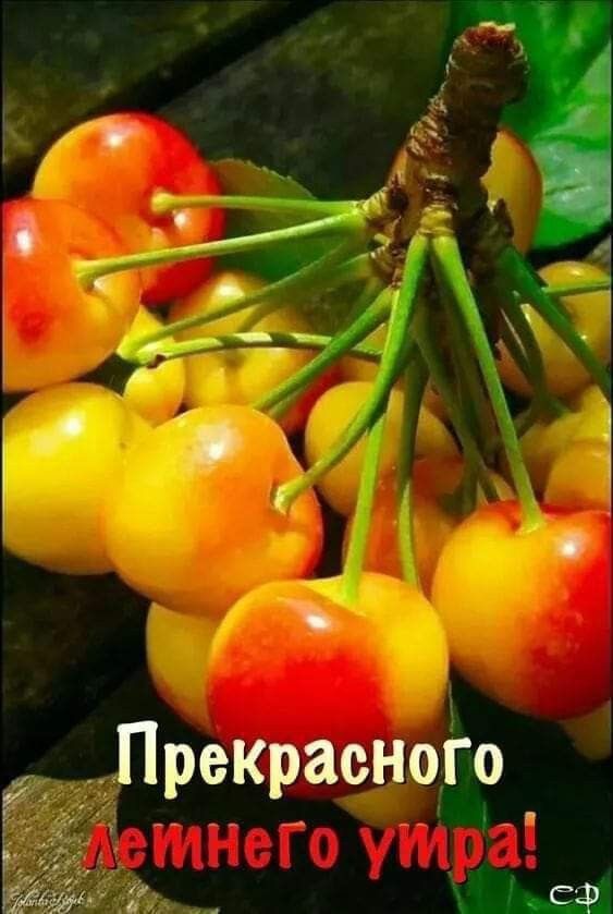 я Ь