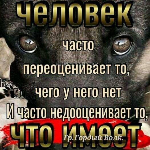 часто Недобценипіаеио НПП мадам Ьпщ и 4 ш ш 4