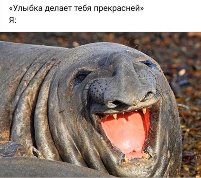 Улыбка делает тебя прекрасней