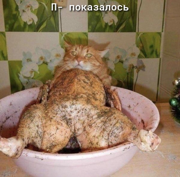 а Ні шазадось щ