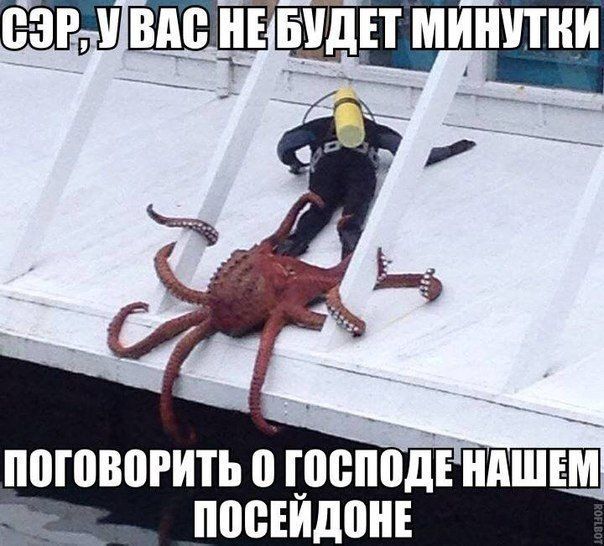 ПВШВВРИТЬ 0 осподвндшвм _ ПЩБЕЙДПНЕ