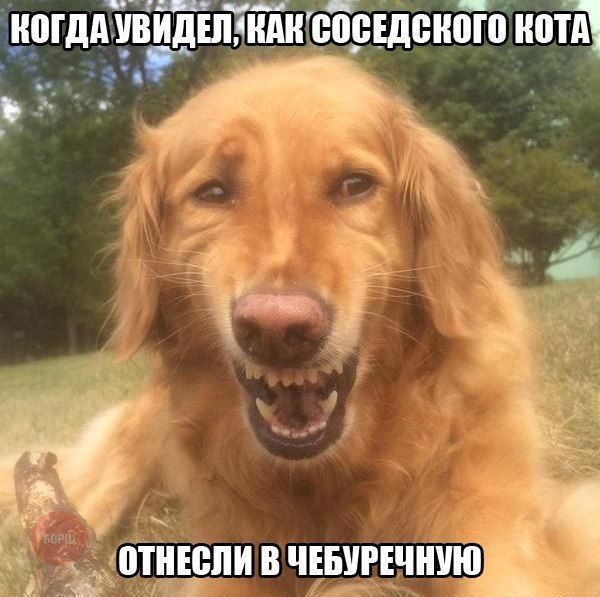 шпддиііЪідЕпТіилТисшшепот иотд мид 5 д