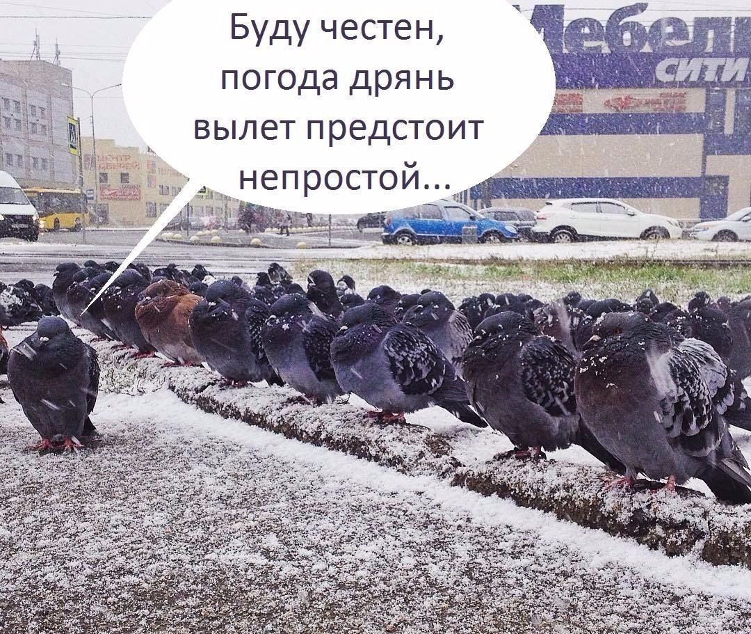 Буду честен погода дрянь