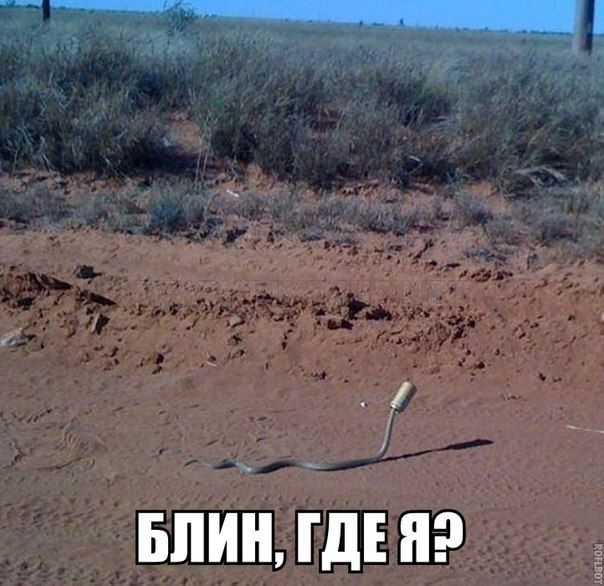 1 БПИ Я