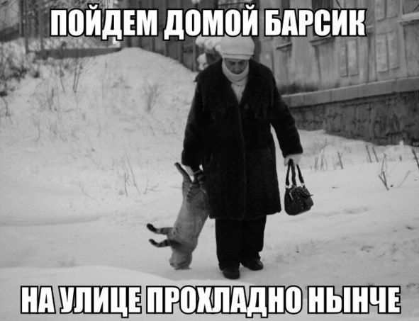 ПРИНЦИП ШШШЕ
