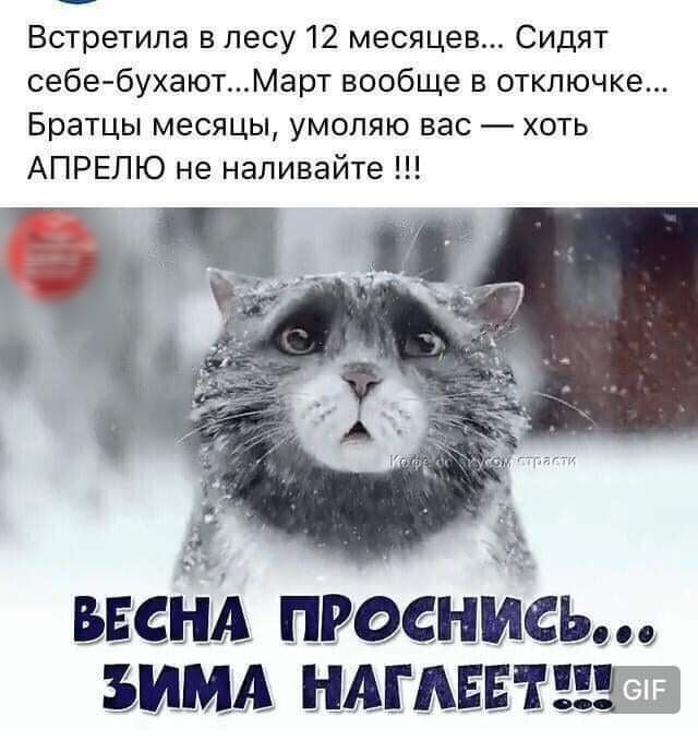 Встретила в лесу 12 месяцев Сидят себе бухаютМарт вообще в отключке Братцы месяцы умоляю вас хоть АПРЕЛЮ не напивайте