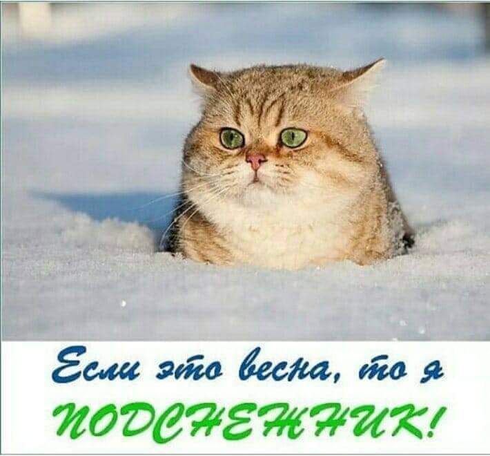 Еш вого бесш 70 я _ _ЯОРЗЙЕЖЯЖ