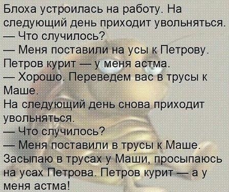 Блоха устроилась на работу На следующий день приходит увольняться Что случилось Меня поставили на усы к Петрову Петров курит у меня астма Хорошо Переведем вас в трусы к Маше На спедуЮщий день снова приходит увольняться что случилось Меня поставили в трусы к Маше Засыпаю в трусах у Маши просыпаюсь на усах Петрова Петров курит а у меня астма