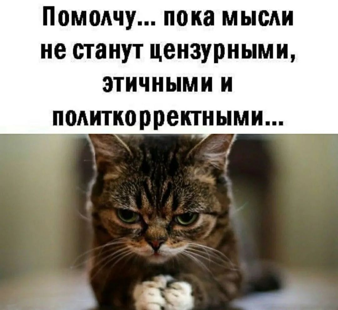 Помодчу пока мысли не станут цензурными этичными и подиткорректными