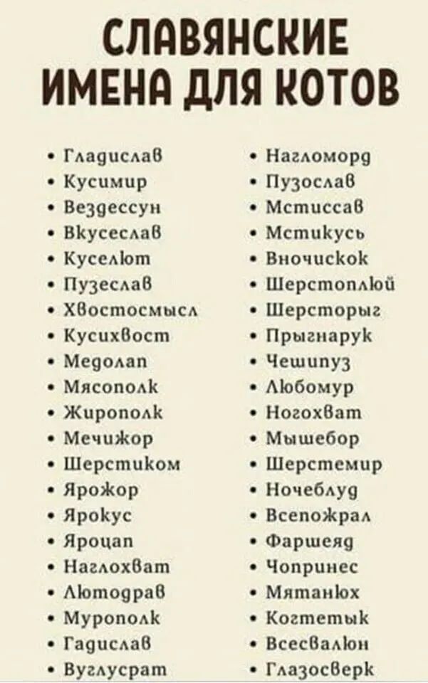 СЛдВЯНСКИЕ ИМЕНИ ДЛЯ КОТОВ ГАауцыаВ Наюмору Кусцмпр Пузосдав Везоессун Мстиссав ВКусеСАаВ МстиКусь КусеАЪот ВночпсКоК Пузесдав Шерстопдіой ХВостосмысл Шерсторыг КусихВост ПрыгпаруК Мечом Чешцпуз Мясоподк Мобомур Жнрополк НогохВат МсчиЖор Мышсбор ШерстпКом Шерстсмцр ЯроЖор Ночебдур ЯроКус ВсепоЖраА Яроцап Фаршсяц Нагдохбат Чопрпиес Мотоярав Мятаніох Муроподк Когтетык Гаяцсмяв ВсесБаЦоп Вумусрат ГАа