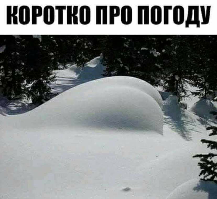 ПРП ПРП ПШПДУ