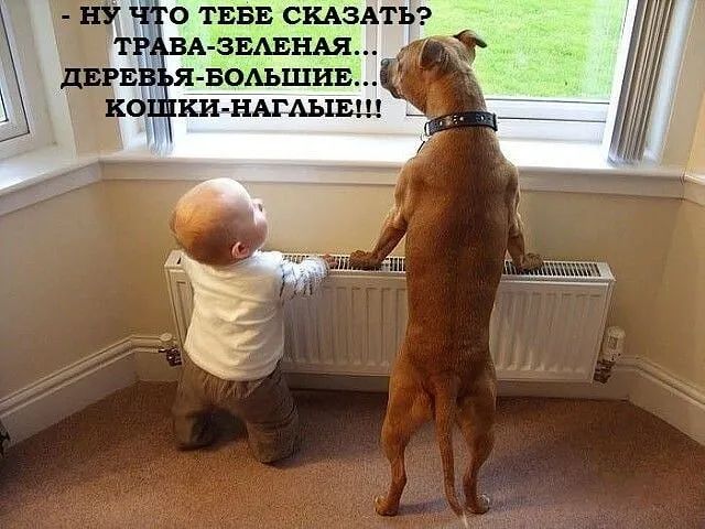 Ч О ТЕБЕ СКАЗАТЬ