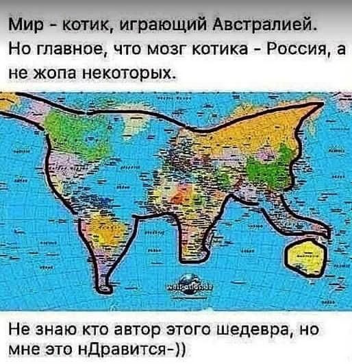 Мир Щупак играющий Австралией Но главное что мозг котика Россия а не жопа некоторых Не знаю кто автор этого шедевра но мне это ндравится