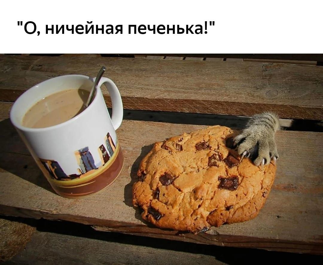 О ничейная печенька