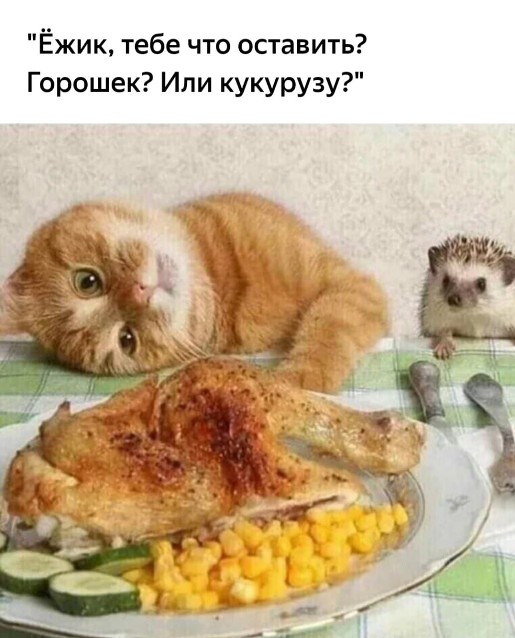 Ёжик тебе что оставить Горошек Или кукурузу
