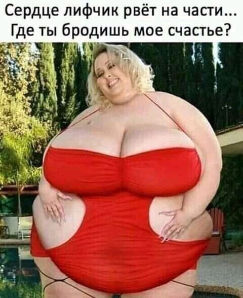 Сердце лифчик рвёт на части Где ты бродишь мое счастье