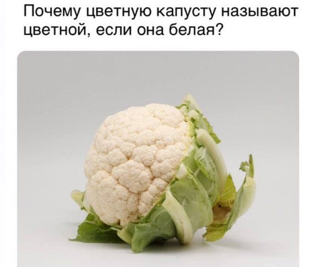Почему цветную капусту называют цветной если она белая