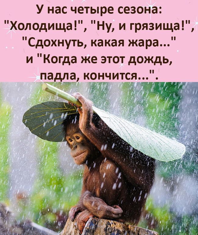 У нас четыре сезона Холодища Ну и грязища Сдохнуть какая жара и Когда же этот дождь падла кончитсяц за