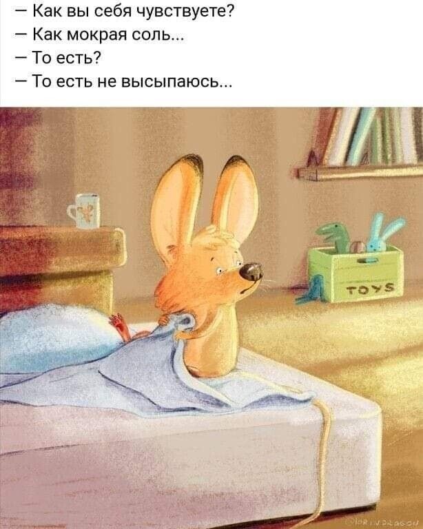 Как вы себя чувствуете Как мокрая соль То есть То есть н высыпаюсь
