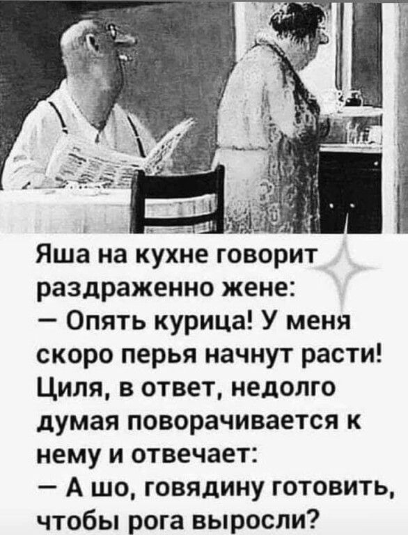 Яша на кухне говорит раздраженно жене Опять курица У меня скоро перья начнут расти Циля в ответ недолго думая поворачивается к нему и отвечает А шо говядину готовить чтобы рога выросли