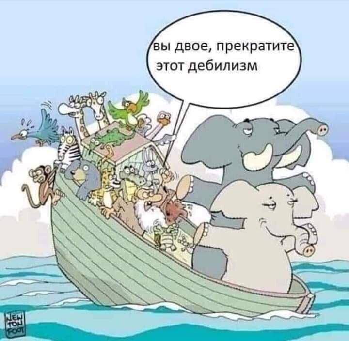вы двое прекратите этот дебилизм