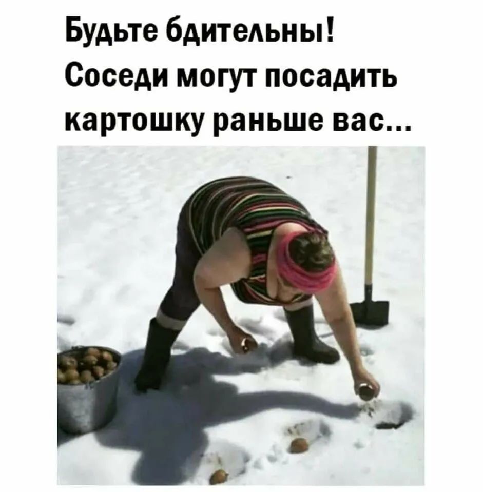 Будьте бдитеАьн ы Соседи могут посадить картошку раньше вас