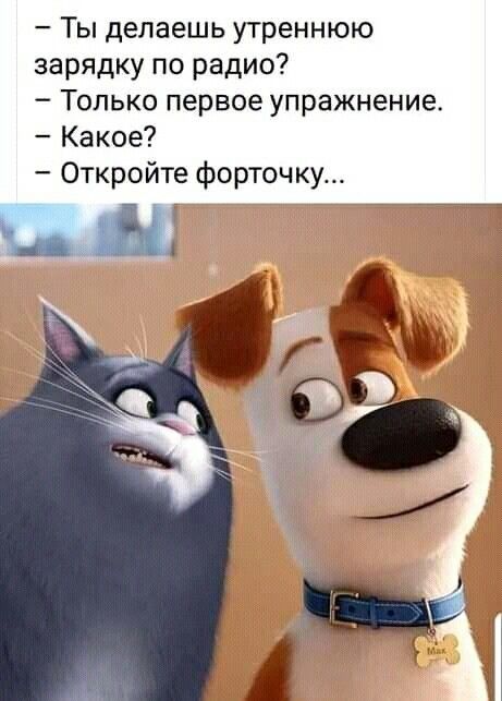 Ты делаешь утреннюю зарядку по радио Только первое упражнение Какое Откройте форточку 1
