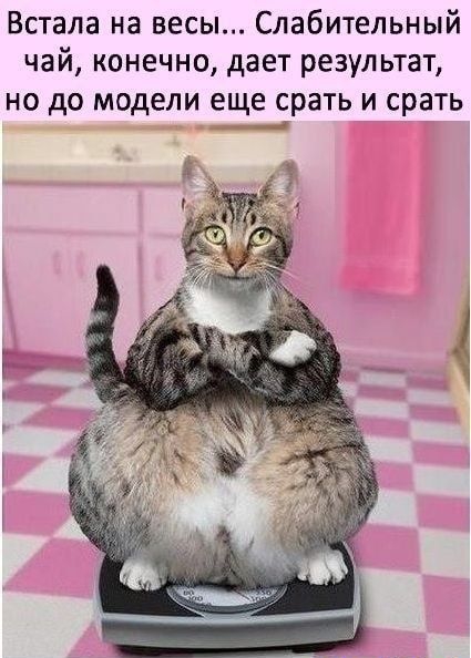 Встала на весы Слабительный чай конечно дает результат но до модели еще срать и срать