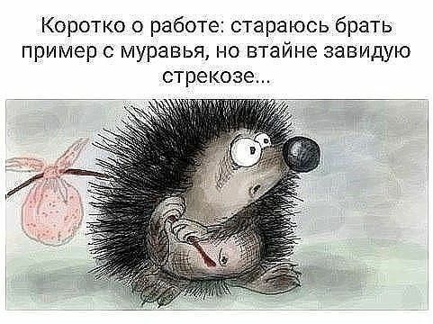 Коротко о работе стараюсь брать пример муравья но втайне завидую стрекоза