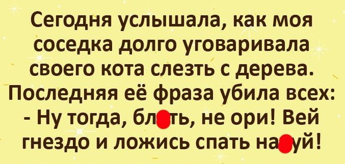 Сегодня услышала как моя соседка долго уговаривала своего кота слезть с дерева Последняя её фраза убила всех Ну тогда блть не ори Вей гнездо и ложись спать насуй