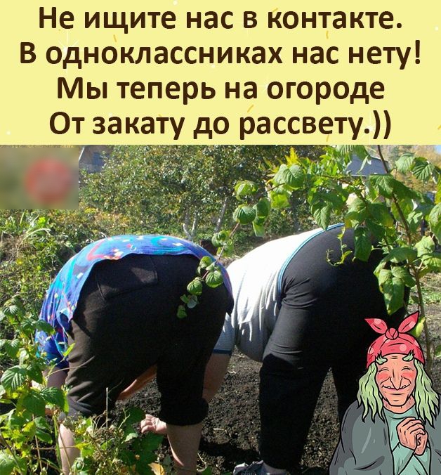 Не ищите нас в контакте В одноклассниках нас нету Мы теперь на огороде