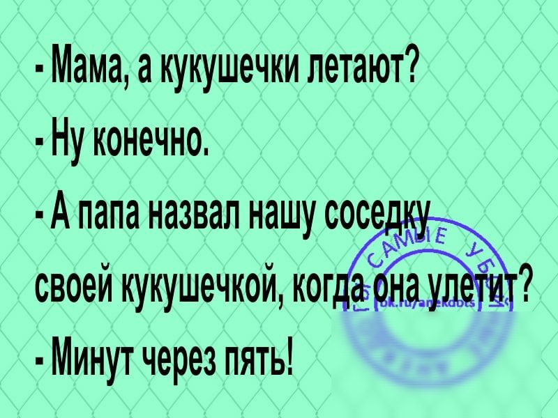 Мама а кукушечки летают Ну конечно А папа назвал нашу сосе Ь своей кукушечкой ког езды Минут через пять