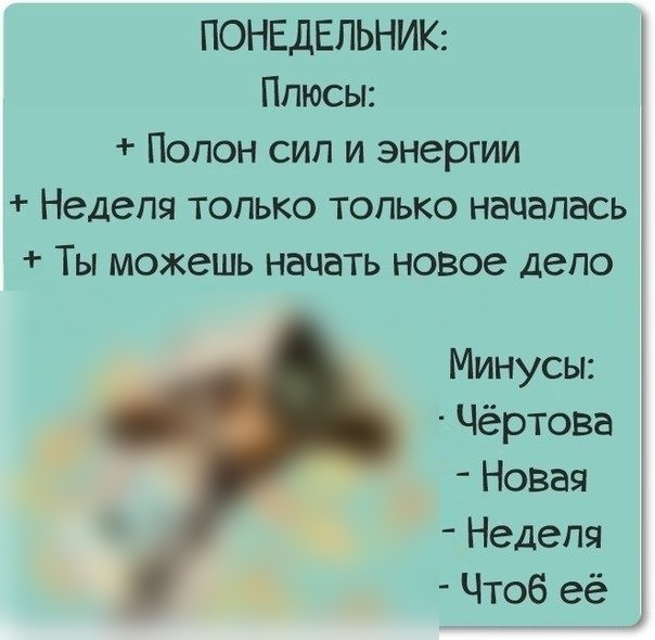 ПОНЕДЕЛЬНИК Плюсы Попон сип и энергии Недепя топько топько началась Ты можешь начать новое дело Минусы Чёртова Новая Неделя Чтоб её