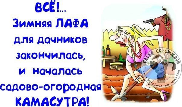 ВСЁ Зимняя ЛАФА для дачников закончилась и началось садово огородноя КАМАСУТРА