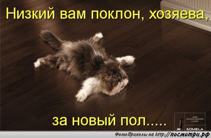 за новый пол ьпм ш Фотоприколы ил трупосмотрид